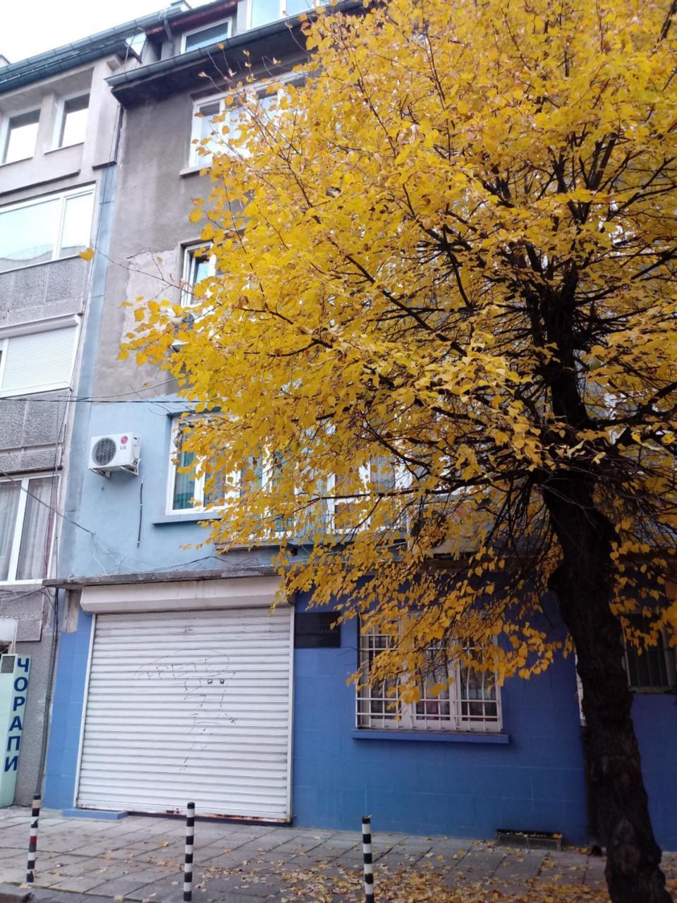 Atelier 9 - Art Mansard Studio Sofia Zewnętrze zdjęcie